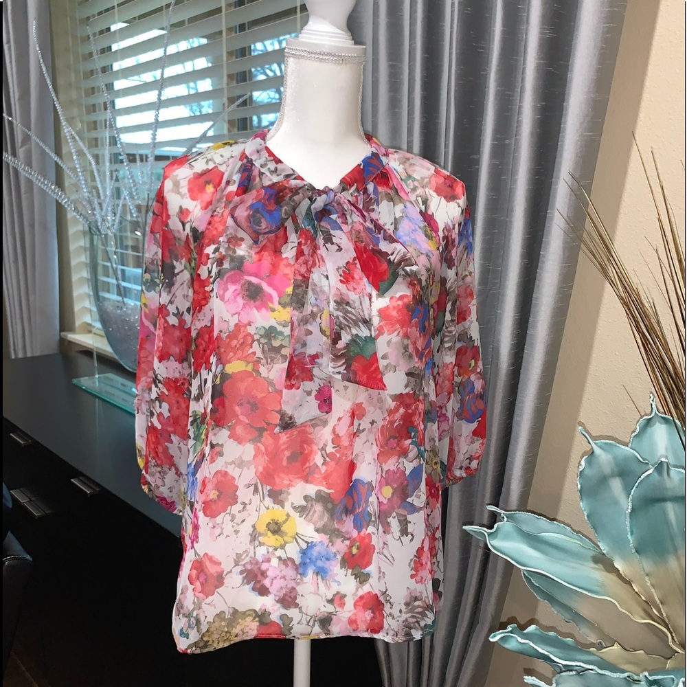Pleione sheer floral colorful blouse